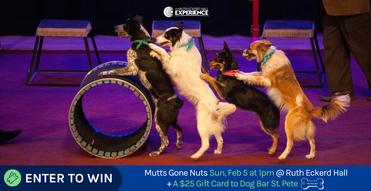 Mutts Gone Nuts at Ruth Eckerd Hall Enter to win on ToneDen