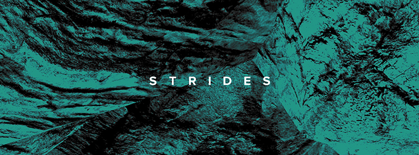 Fanlink banner for @strides