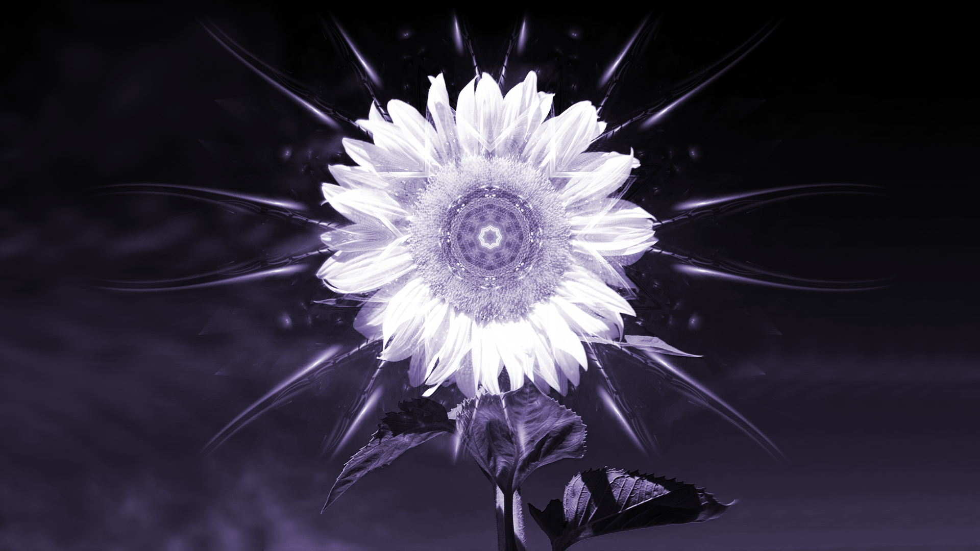Fanlink banner for @frown