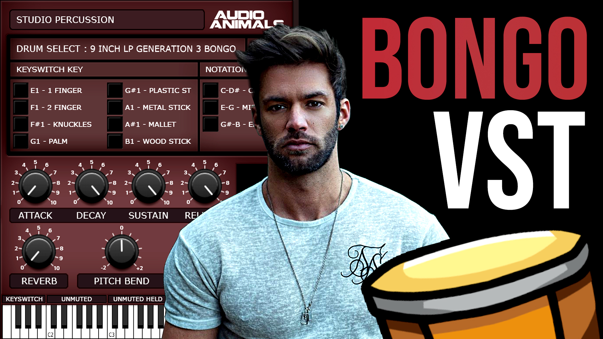 Free Ethnic Bongo Drum Sounds Audio Animals VSTi Review by Ali Nadem