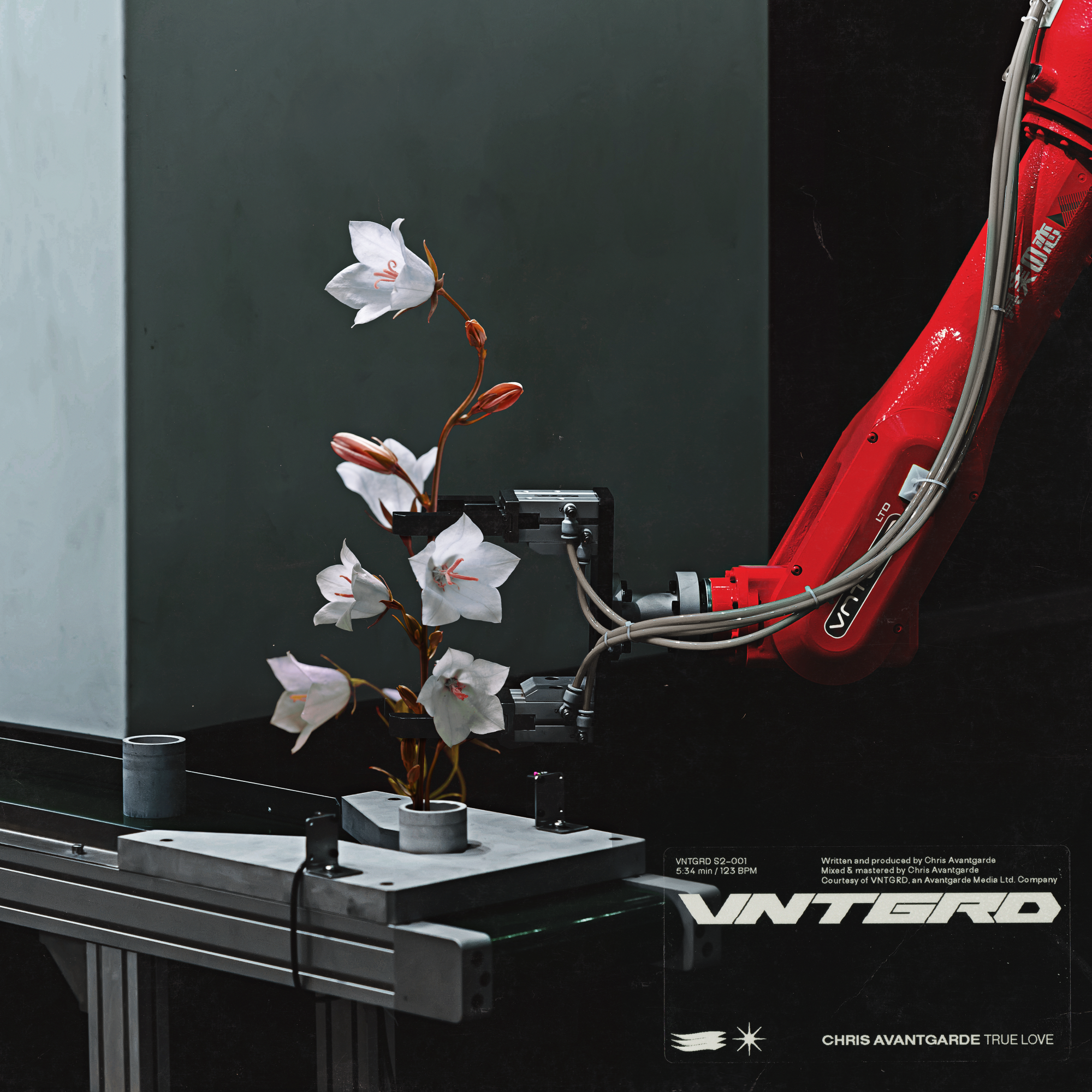 Chris avantgarde. Anyma chris avantgarde. Inside chris avantgarde feat. Chris avantgarde feeling good. Chris avantgarde.