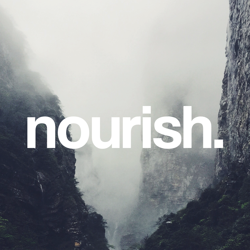 Fanlink profile picture for @nourish