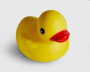Fanlink profile picture for @ducky