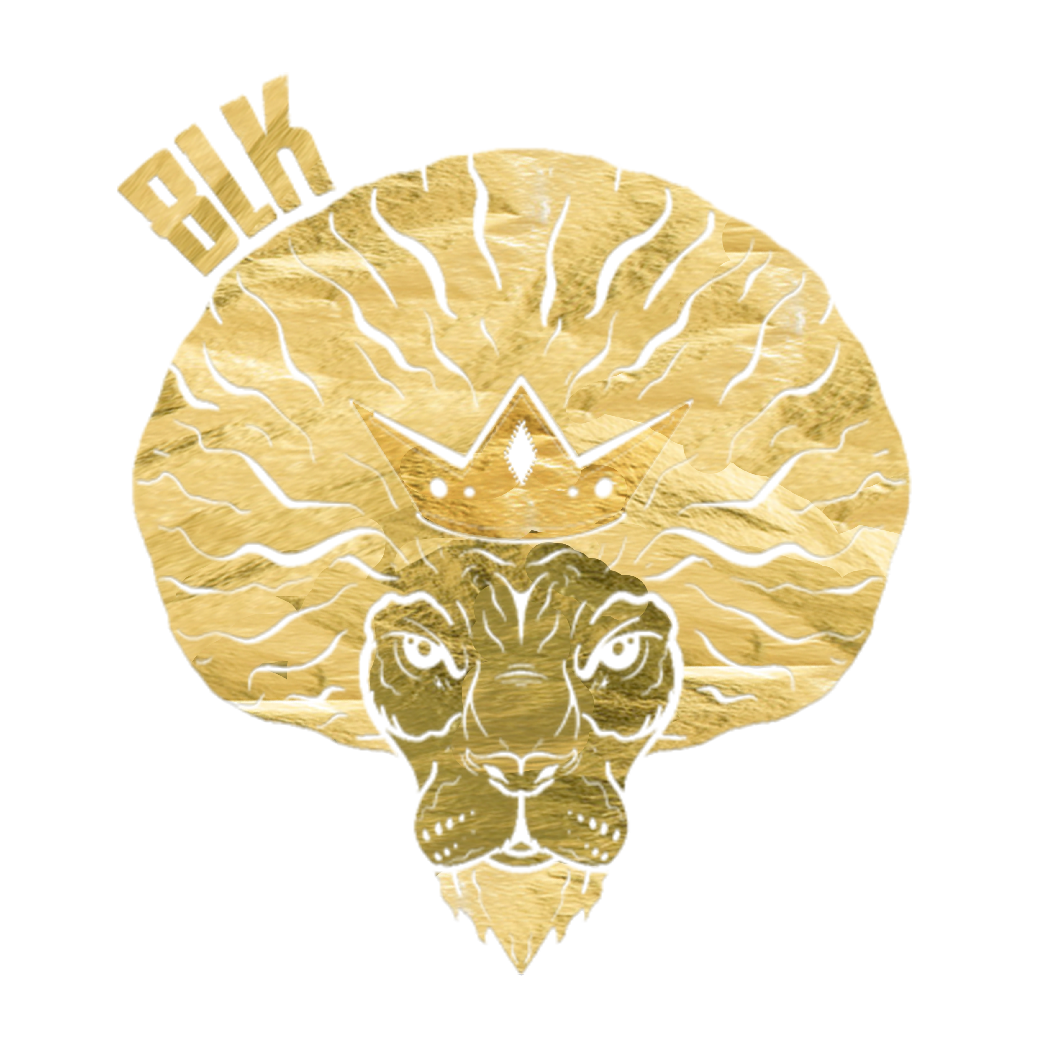 Fanlink profile picture for @daemon