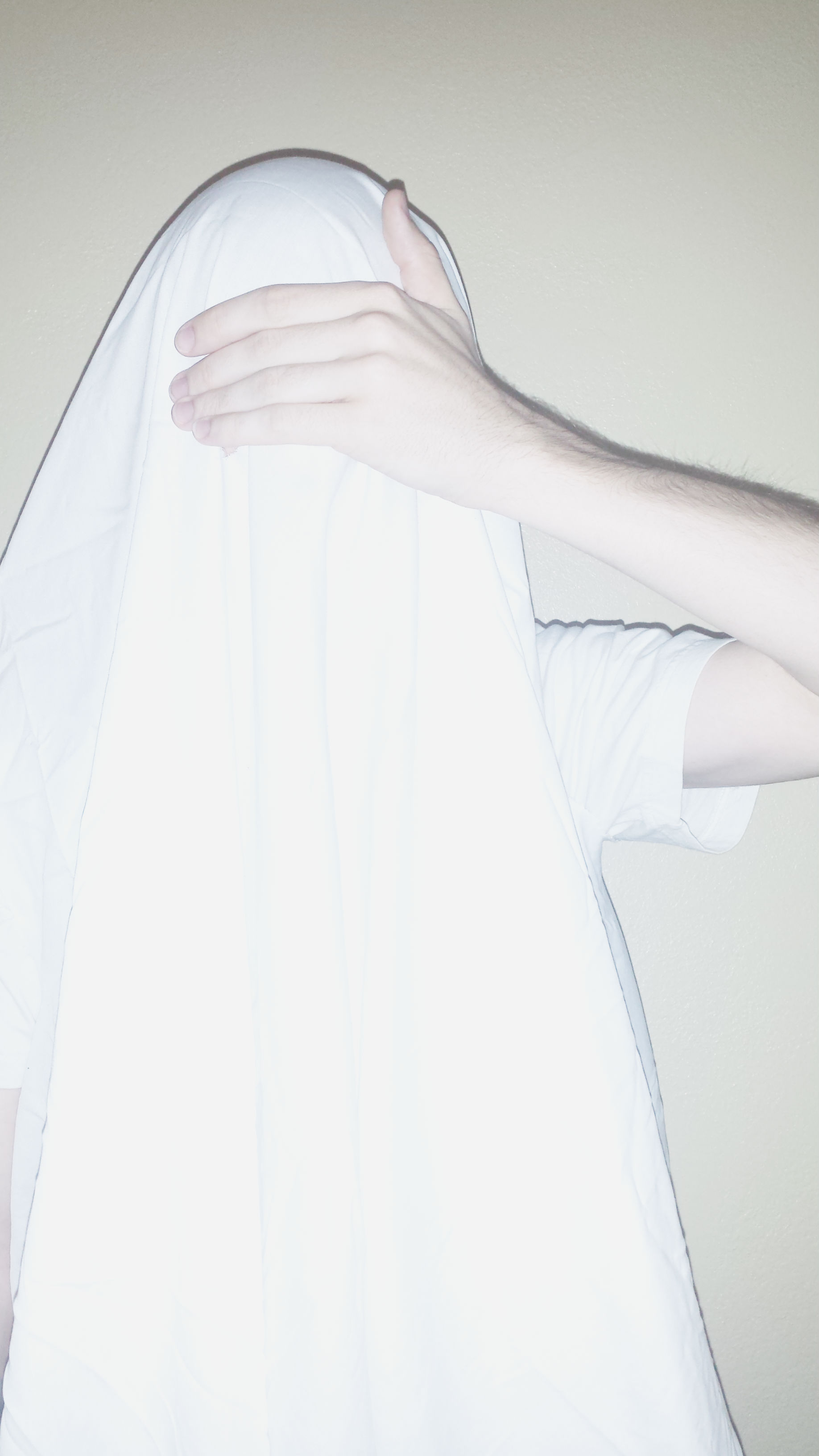 Fanlink banner for @shindig