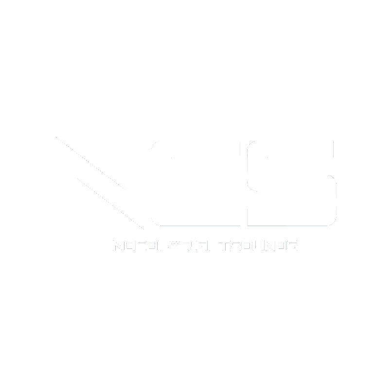 Ed Sheeran Ft Maroon 5 Shape Of You New Song NCS Release By