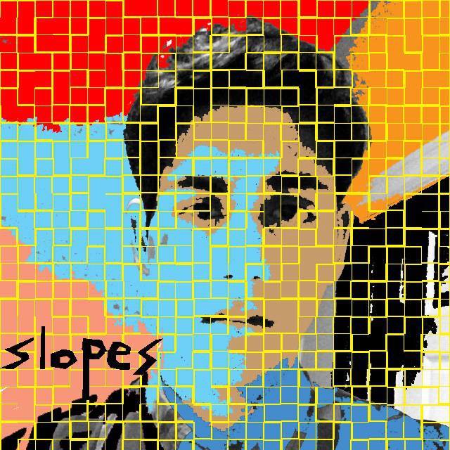 Fanlink profile picture for @slopes