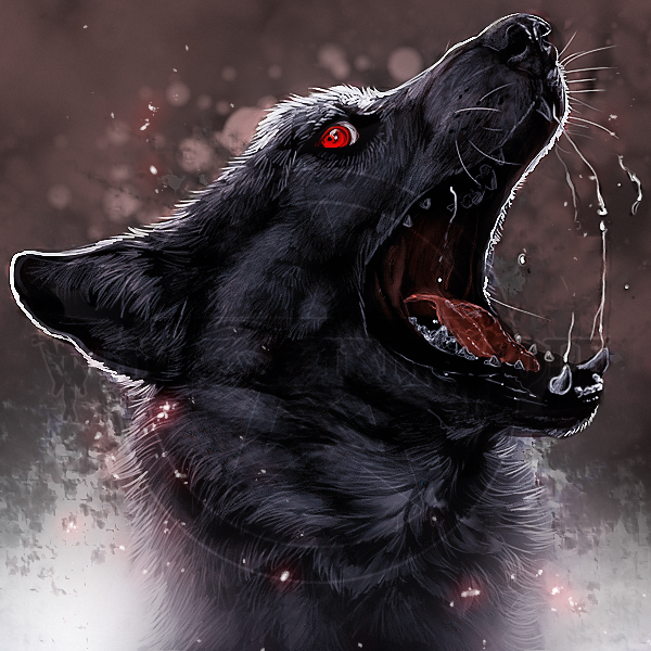 Fanlink profile picture for @jakub