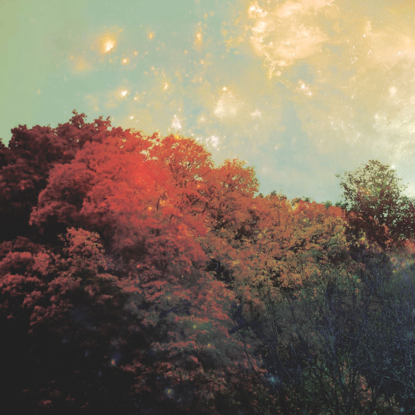 Fanlink banner for @ibr