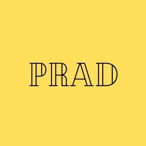 Fanlink profile picture for @prad