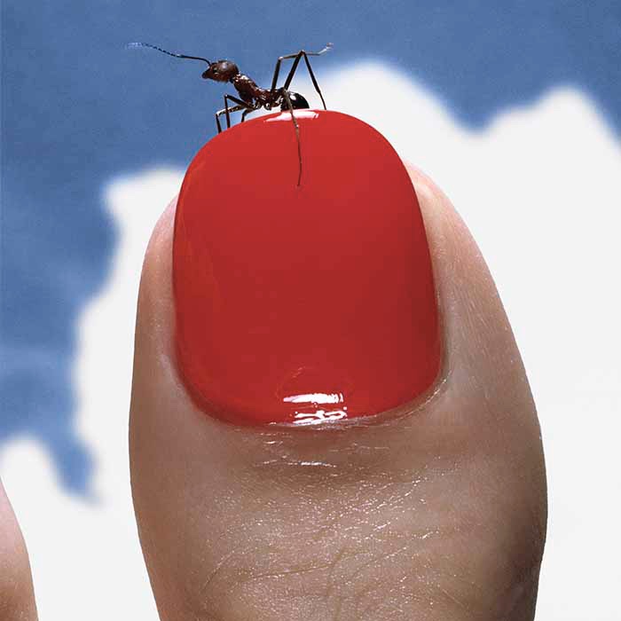 ESSEL The VESSEL Curated Drum Kit (Free) by ESSEL The VESSEL Free