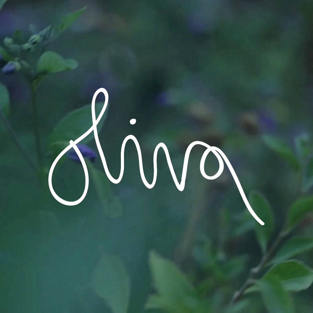 Fanlink profile picture for @oliva