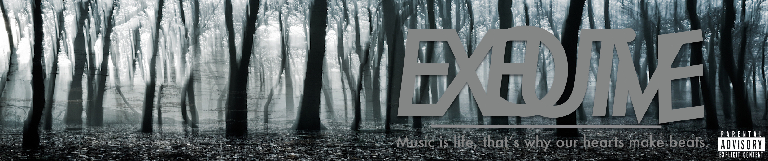 Fanlink banner for @executive