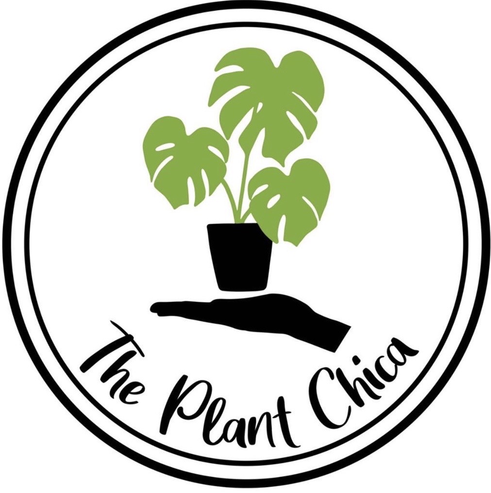 The Plant Chica