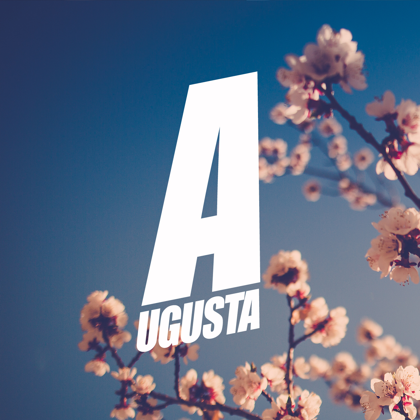 Fanlink profile picture for @augusta