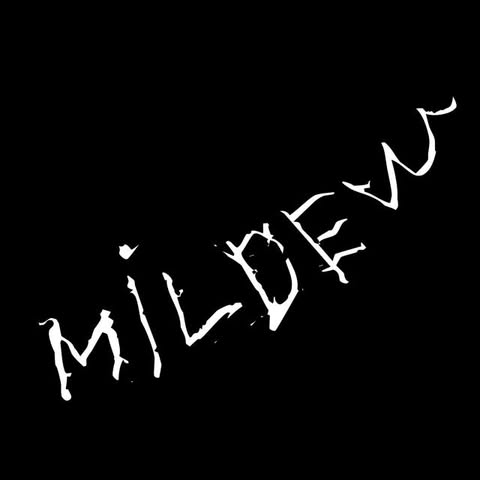 Fanlink profile picture for @mildew