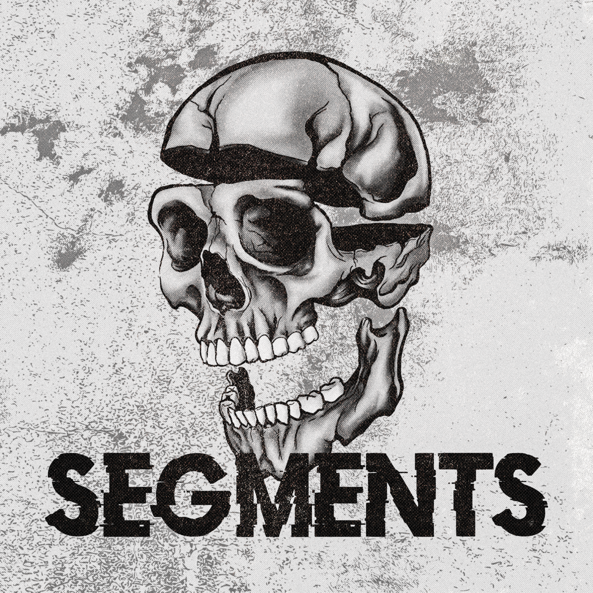 Fanlink profile picture for @segments