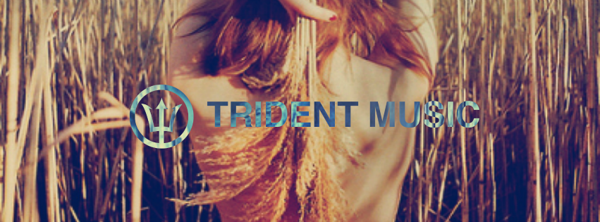 Fanlink banner for @trident